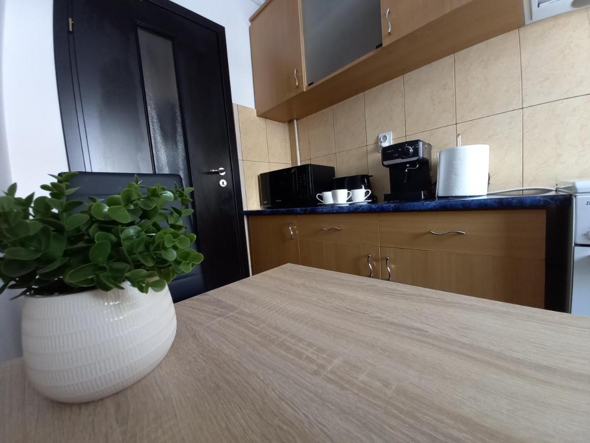 Alma Apartament Piatra Neamţ Exteriér fotografie