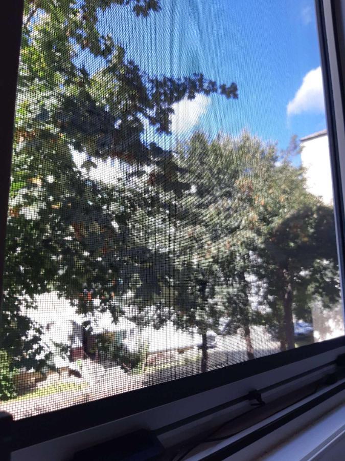 Alma Apartament Piatra Neamţ Exteriér fotografie